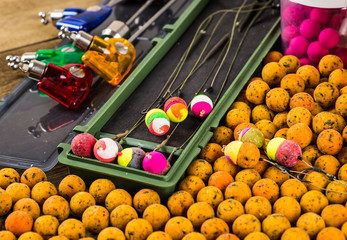 fishing for carp baits