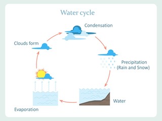 Water cycle scheme for kids education stock vector illustration