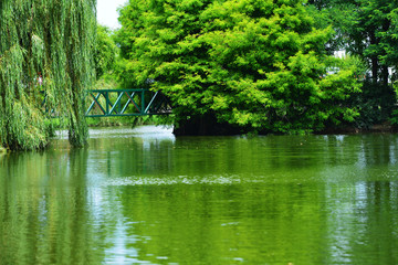 Wonderful view of Ardagani lake, Batumi