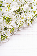 white flowers frame on white wooden background 