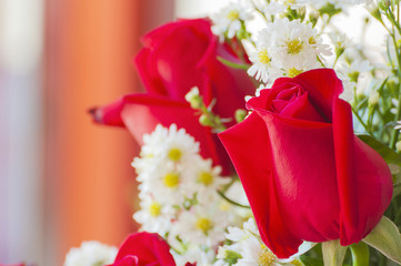 Red rose bouquet with cutter flower with blurred background
