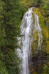 Fototapeta na wymiar Waterflow in Oregon