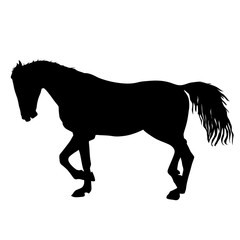 silhouette of black mustang horse vector illustration