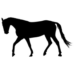 silhouette of black mustang horse vector illustration