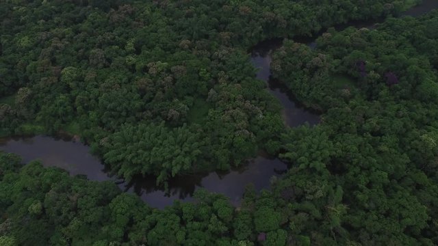 Aerial View of a River in Rainforest, Latin America