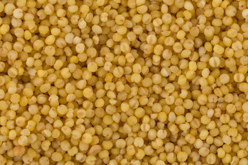 Dry millet closeup