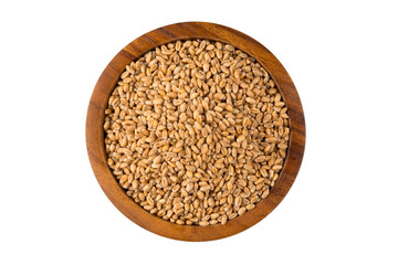 Wheat grain in bowl