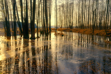 Przedwiośnie nad Narwią © podlaski49