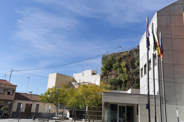 Fototapeta na wymiar Vertical garden of six floors in San Vicente del Raspeig