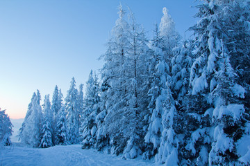 Obraz premium Blaue Stunde am Berg