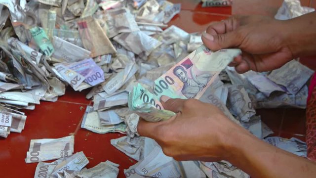 Temple Worker Counting Offerings in Bali, Indonesia. Video 4k