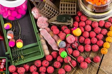fishing for carp baits