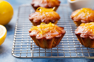 Lemon muffins cakes, financiers on a cooling rack. Blue stone background