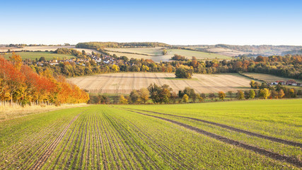 View - Eynsford