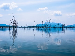 Reflection on a Lake of Beautiful lake landscape dried dead Trees Birds land with bluesky and clouds in Sri Lanka