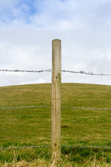 Fototapeta premium Barbed Wire and a Fence Post