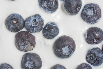 Blueberries with yogurt