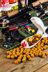 catch carp on baits