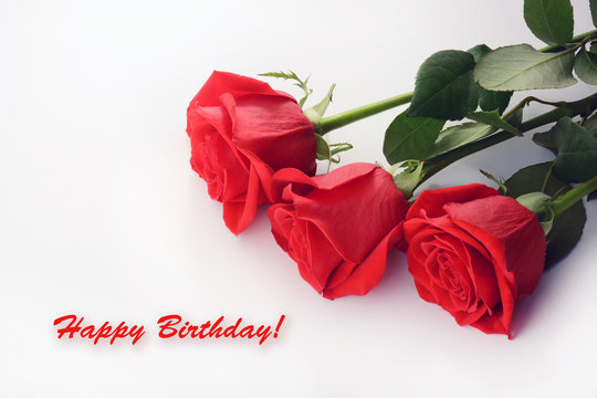 Red roses closeup. Beautiful bouquet. Happy Birthday card