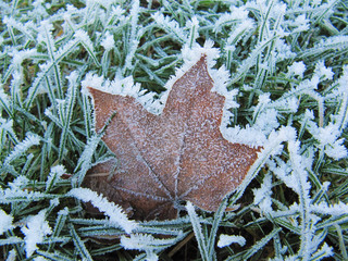 Extreme Frost