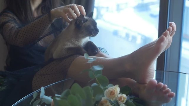 Brunette female sitting with a cat