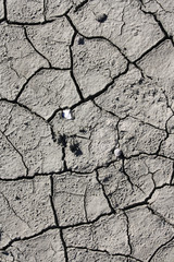 ZOLLE DI TERRENO ARIDO