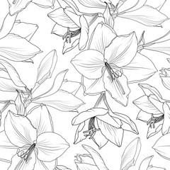 Amaryllis hippeastrum lilly floral seamless pattern. Spring summer flowers detailed black and white drawing outline sketch. Vector design illustration for textile, fabric, decoration, packaging. - obrazy, fototapety, plakaty