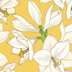 Amaryllis hippeastrum lilly floral seamless pattern. Spring flowers detailed drawing outline sketch on bright yellow background. Vector design illustration for textile, fabric, decoration, packaging.