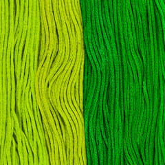 Embroidery Green Floss Background. Macro. Selective focus.