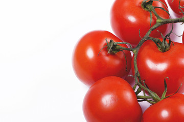 Tomatoes on white background. Copy-space. Horizontal shoot.