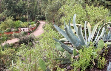 Andes mountains in San Miguel Peru 