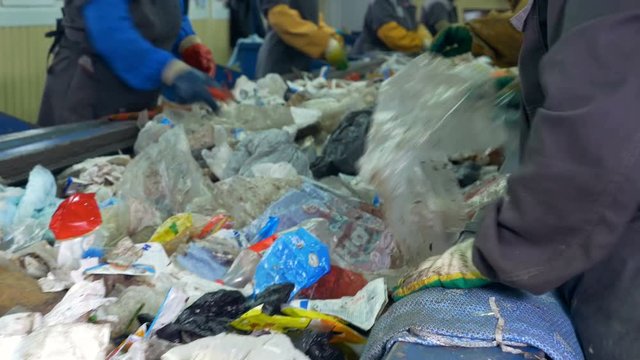 Workers sorting garbage to be processed in a recycling plant. 4K.