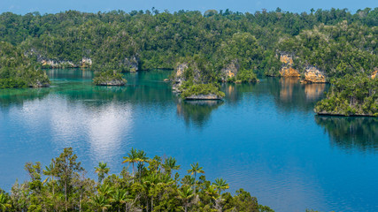 Many Rocks covered by Palmtrees in Passage between Gam and Waigeo, View Point near Warikaf Homestay. West Papuan, Raja Ampat, Indonesia