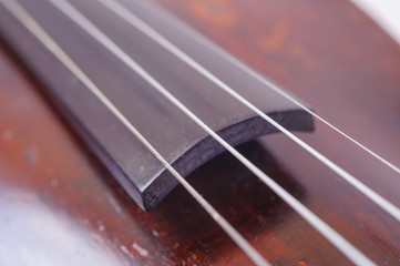 one violin image .old brown stringed wooden instrument close up view