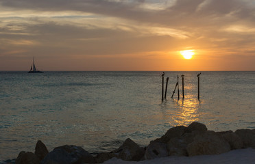 Eagle beach in Aruba in sunset time
