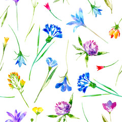 Floral seamless pattern of a wild flowers and herbs on a white background.Buttercup, cornflower, clover, bluebell, lobelia, snowdrop flowers. Watercolor hand drawn illustration.