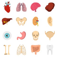 Human organs set flat icons