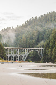 Gothic Bridge on the Pacific Coast