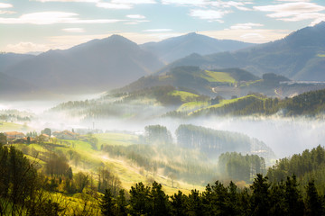 foggy morning at basque country meadows, Spain