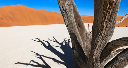 Woman stands in desert between branches of dead tree.