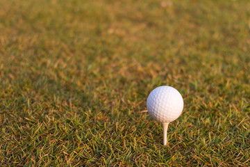 Golf ball on tee