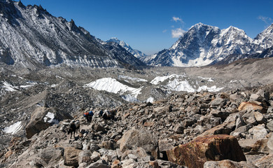 Yaks caravan rises from the lodge Gorak Shep in EBC (Everest Base Camp) - Nepal