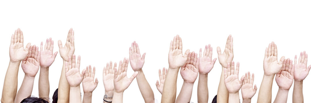 group of people showing their hands, isolated on white background. 