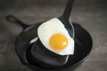 Fried Egg on a Spatula