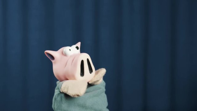 Pink pig in shirt hand puppet toy telling story and shake head on scene with blue crease curtains background