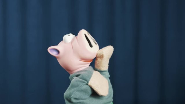 Pink pig in shirt hand puppet toy makes cash tossing gesture and look around on scene with blue crease curtains background