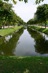 Irrigation canal between road and green trees in the city