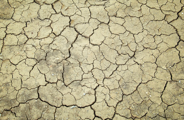 Background and texture with cracked earth