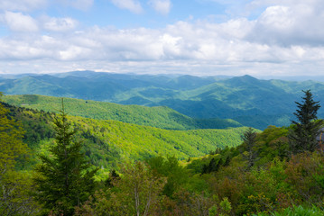 Fototapeta na wymiar View from Roan Mountain