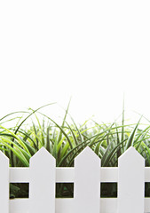 Grass and white fence